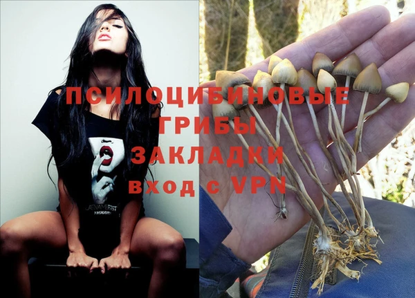 гидропоника Михайлов