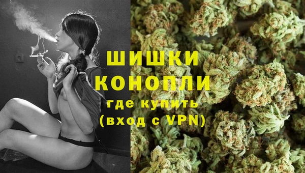СК Мегион