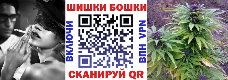 Купить где  Новосиль  Шишки марихуана Amnesia 